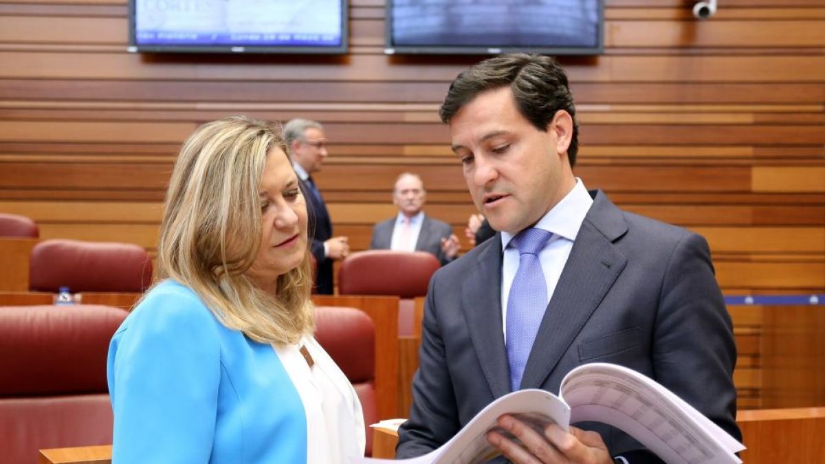 La consejera de Hacienda, Pilar del Olmo, y el portavoz del Grupo Popular en las Cortes, Raúl de la Hoz, conversan durante el pleno de las Cortes de Castilla y León que acoge el debate de totalidad del proyecto de Ley de Presupuestos Generales-ICAL