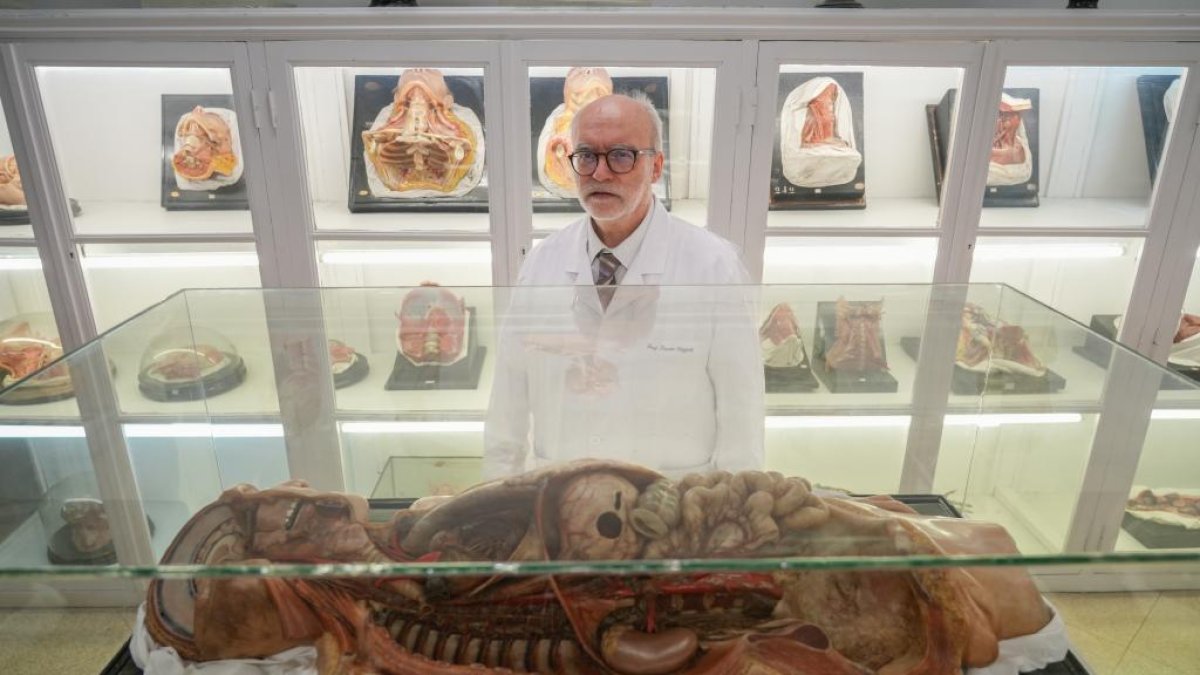 Juan Francisco Pastor posa junto a una recreación anatómica de un torso. -J. M. LOSTAU