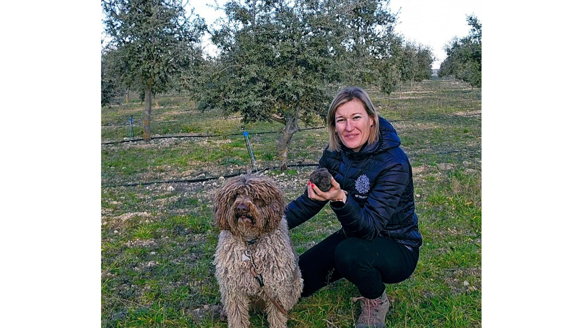 Raquel de Dios tiene 2,5 hectáreas de encinas ecológicas micorrizas en la Ribera del Duero. ECB