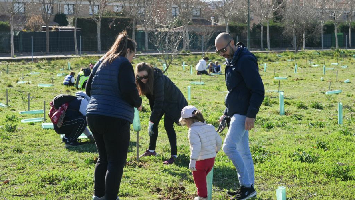 PLANTACIÓN DE 5000 ÁRBOLES EN EL BOSQUE URBANO DE LA URBANIZACIÓN SANTA ANA. J.M. LOSTAU
