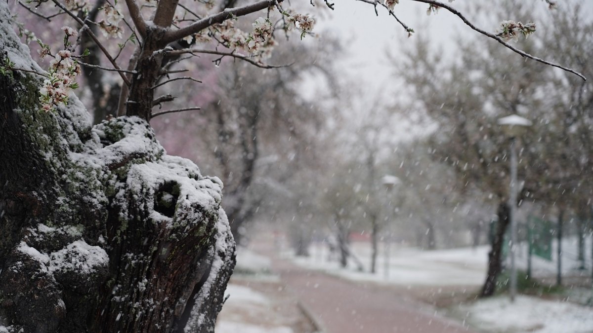 Nieve en la ciudad de Valladolid
