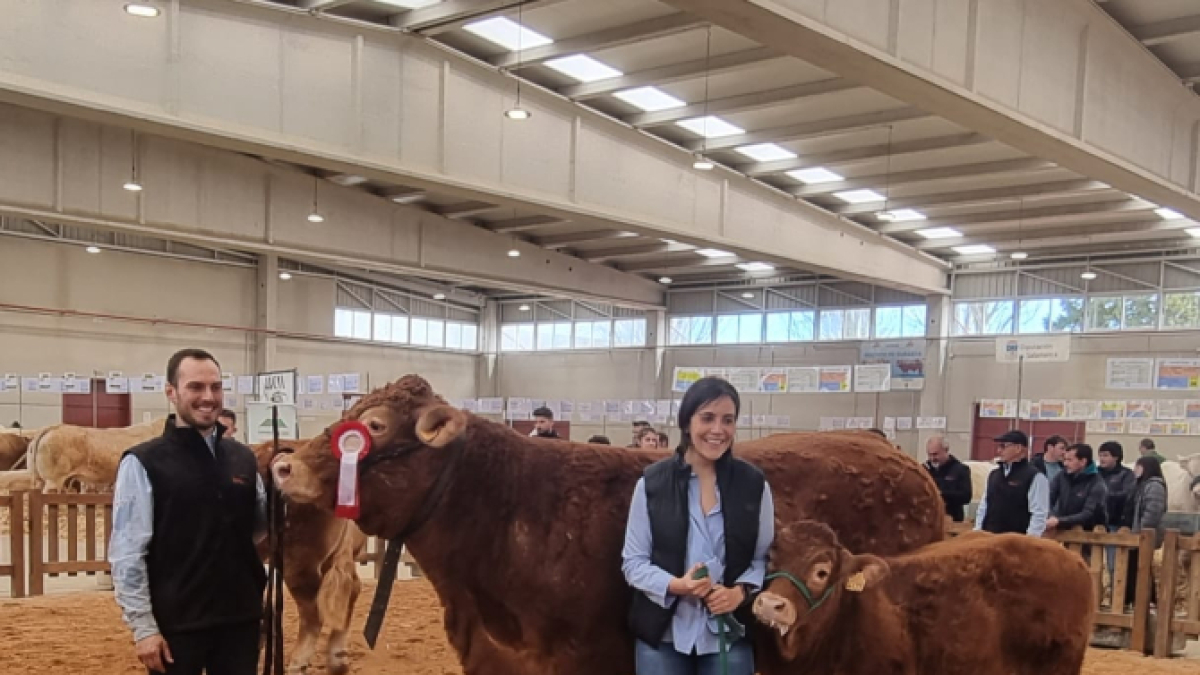 Aitor Sainz Maza, en la última edición del Salón del Vacuno de Salamanca, con Saskia y Uganda, su ternera de cinco meses y medio.