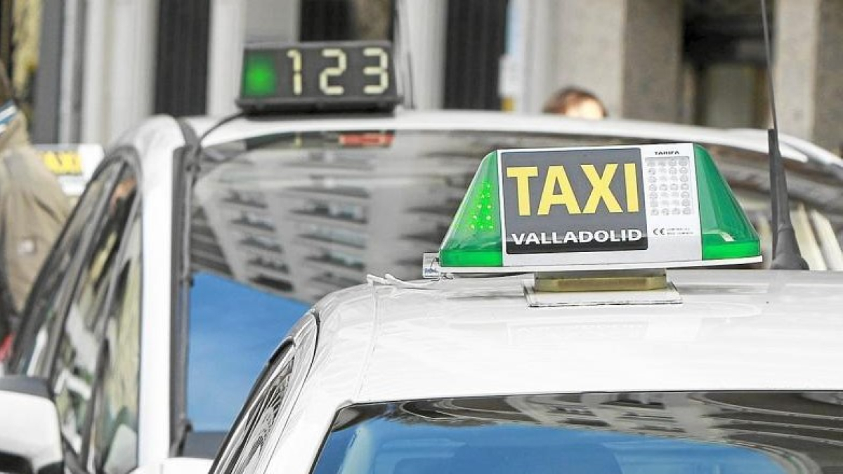 Varios taxis en una parada de taxis de Valladolid.