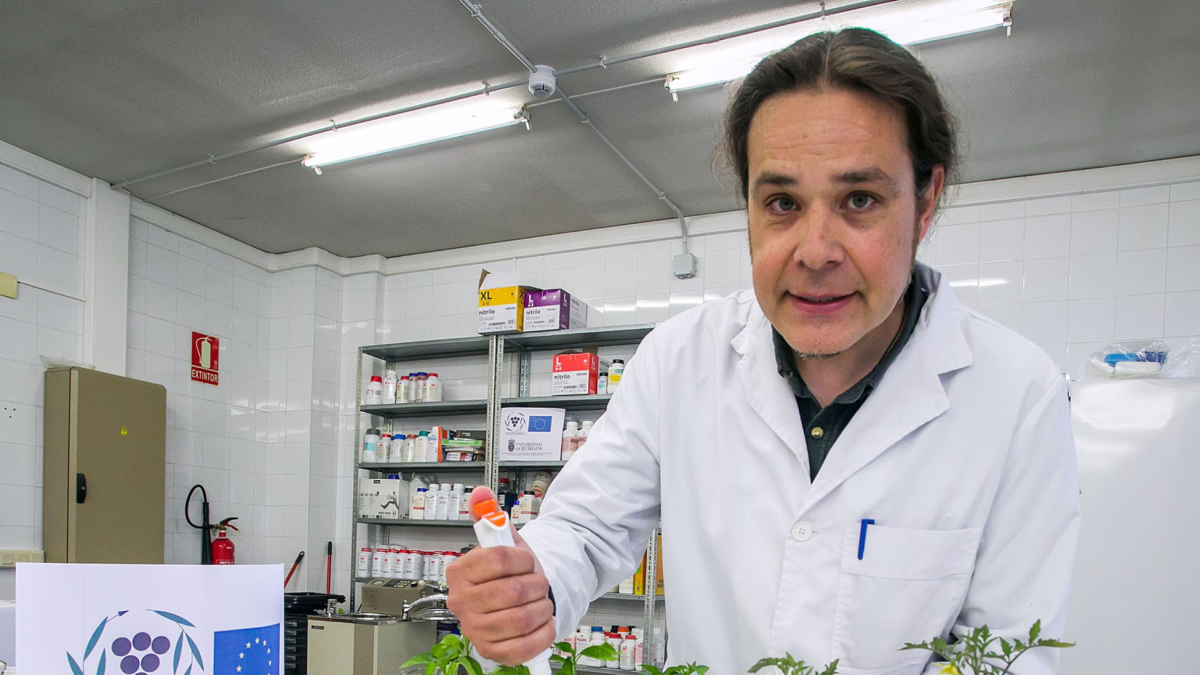 Gonzalo Sacristán Pérez Minayo, director del proyecto Novaterra en la UBU.