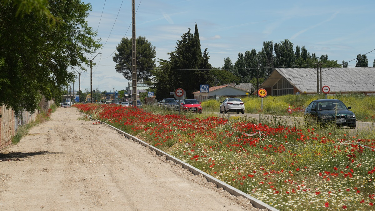 Obras del carril bici en el camino viejo de Simancas.
