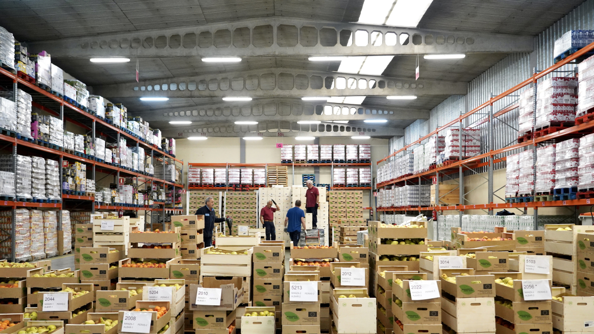 IX Recogida de Primavera de la Fundación Banco de Alimentos de Valladolid