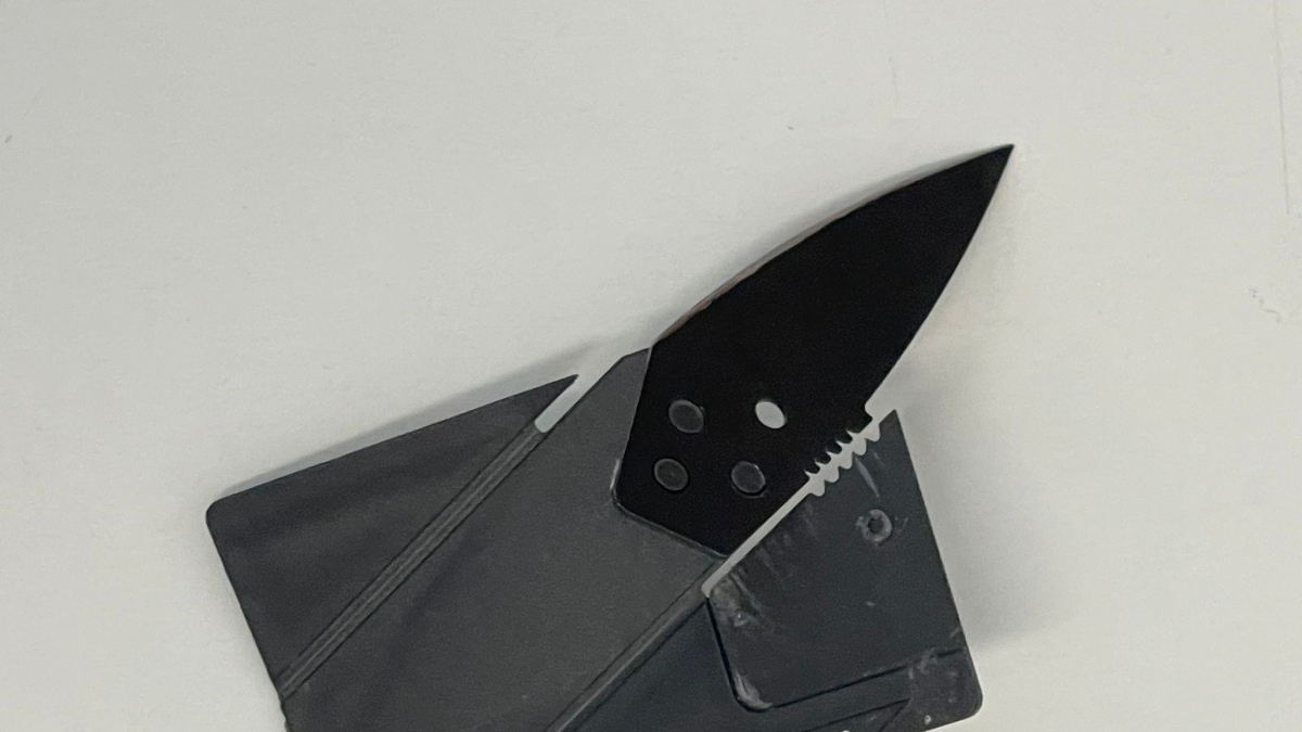 Imágen del arma incautada