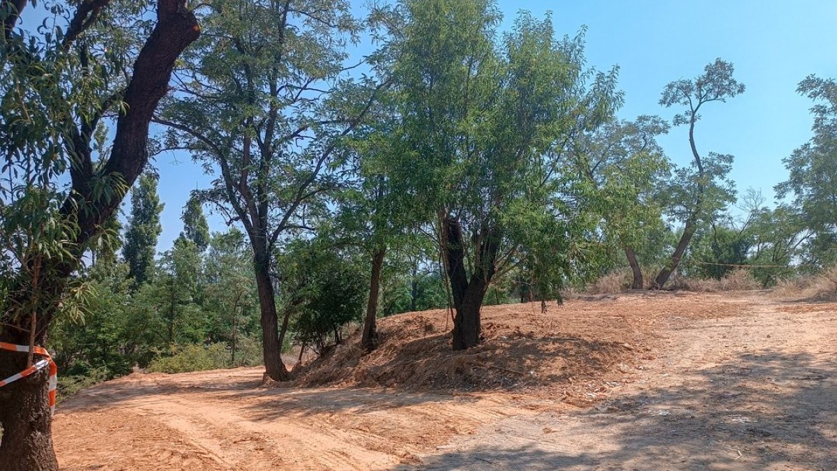 Obras en la reserva biológica-urbana El Tomillo.