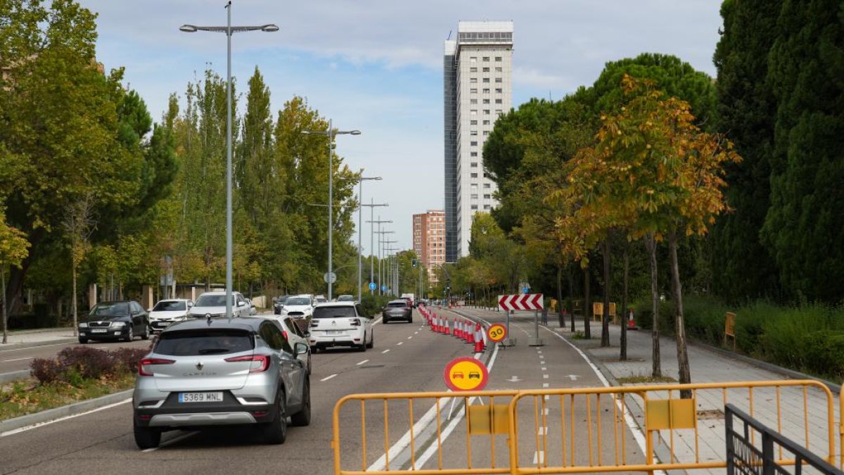 Corte de un carril en la Avenida de Salamanca por las obras de la red de calor