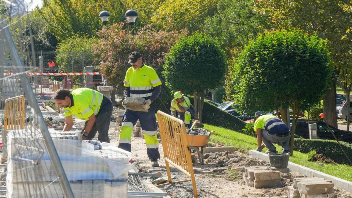 Operarios trabajando en el carril bici paralelo al paseo de Isabel La Católica.