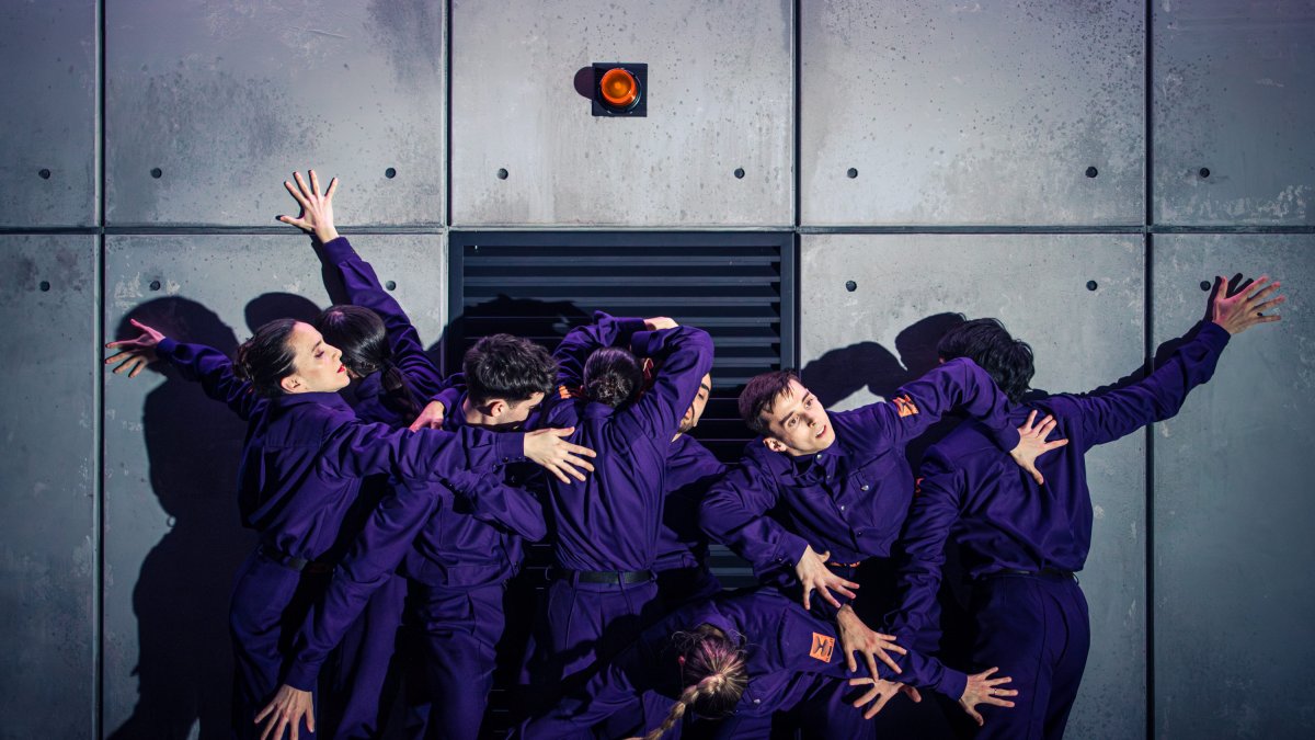 Una imagen de 'Halley'