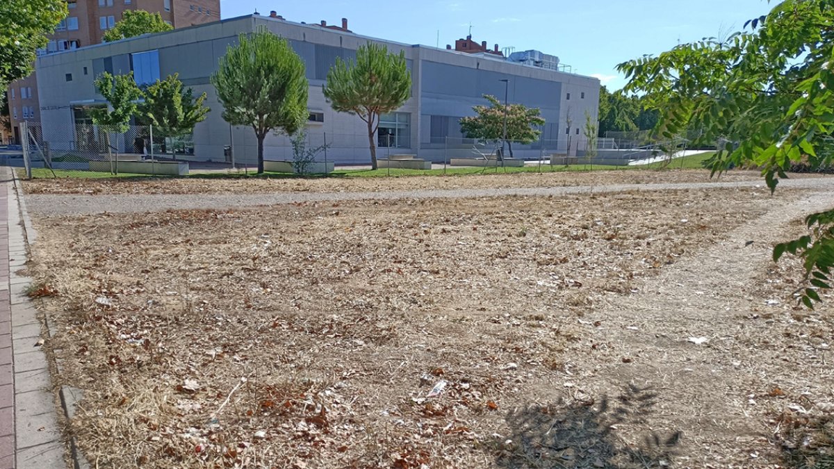 Solar donde se va a trasladar la pista deportiva.