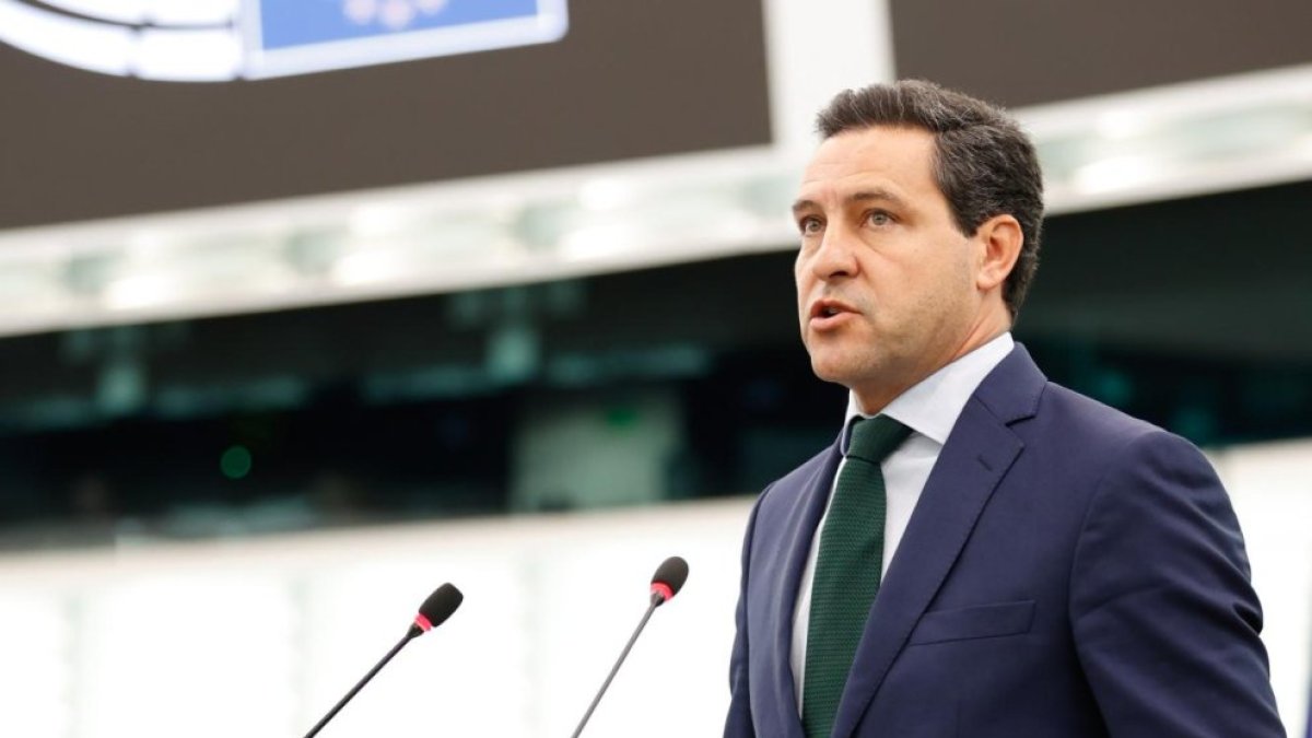 Raúl De la Hoz, durante una intervención en la Comisión Europea, imagen de archivo