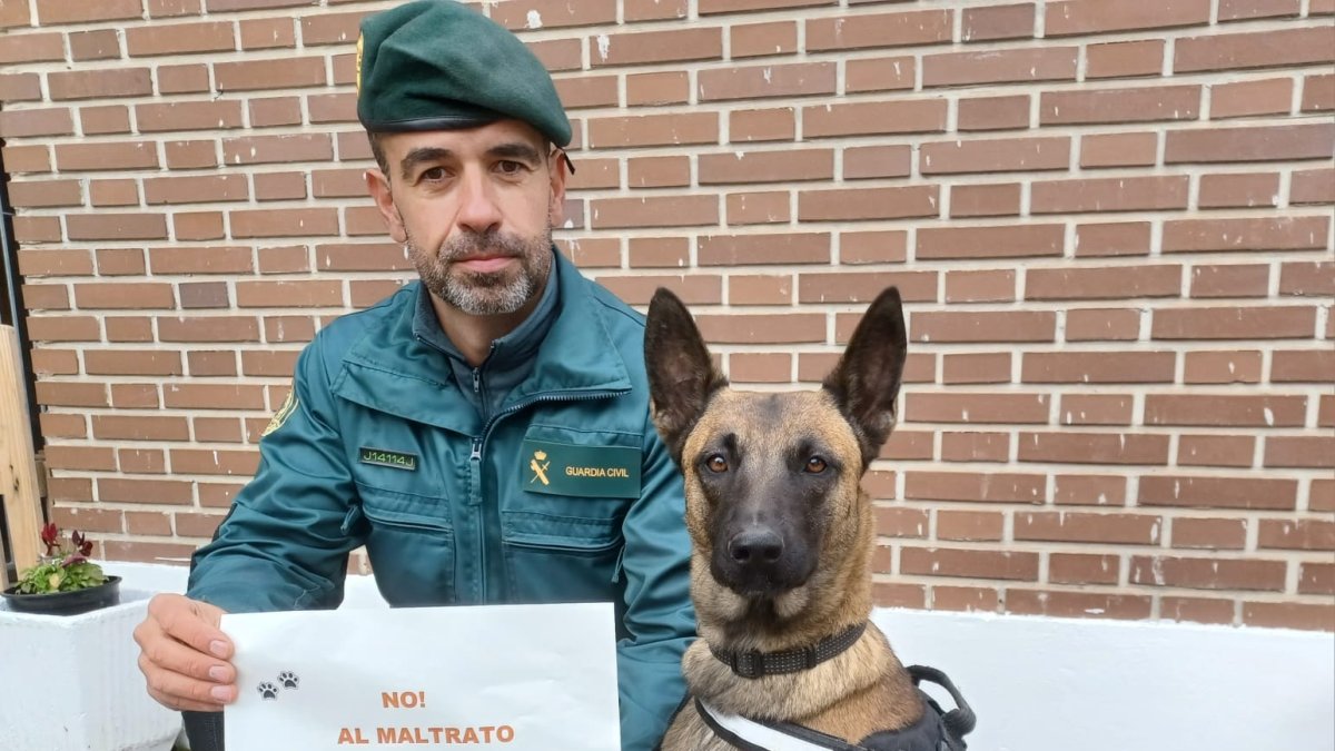 La Guardia Civil contra el maltrato animal.
