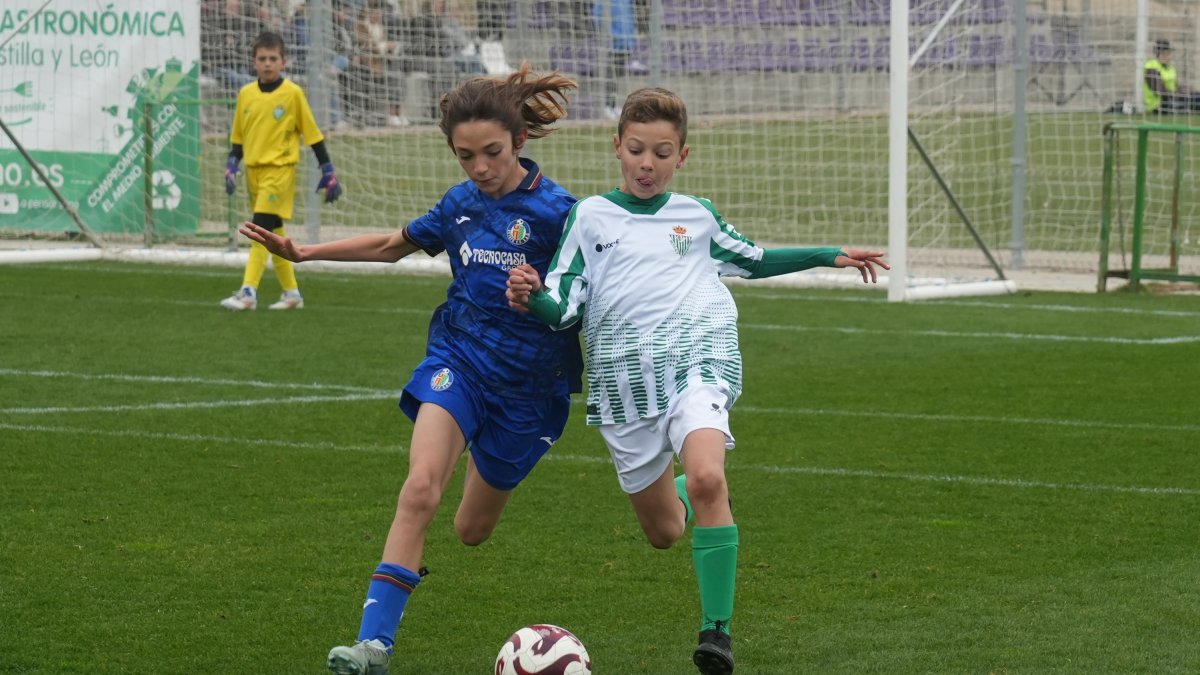Campeonato de fútbol infantil Zaratán Cup