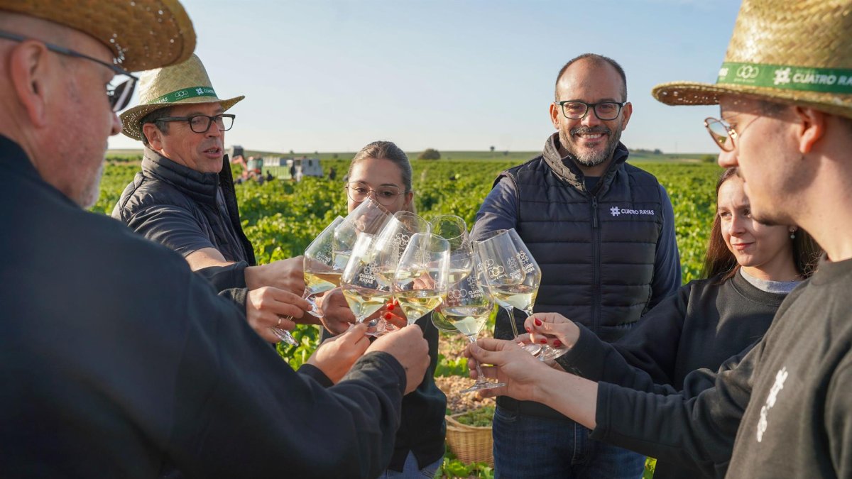 Archivo - Trabajadores De Bodega Cuatro Rayas Brindan El Pasado Mes De Octubre Al Finalizar La Vendimia 2024