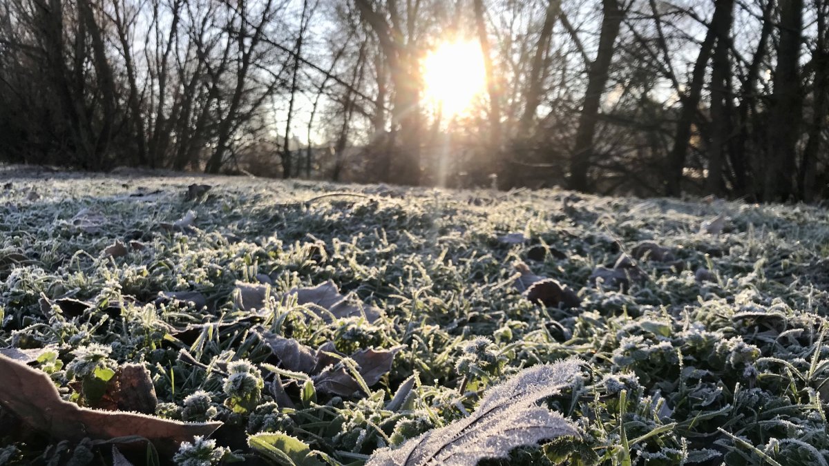 Una imagen de archivo de cencellada en Valladolid