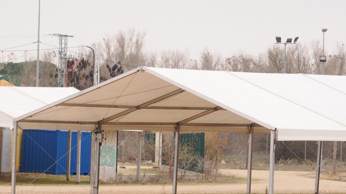 Campa de Pingüinos en Valladolid