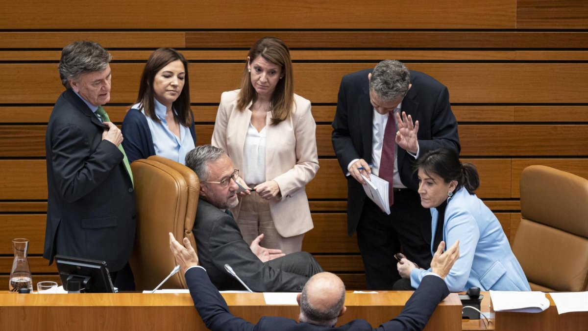 Pleno de las Cortes de Castilla y León