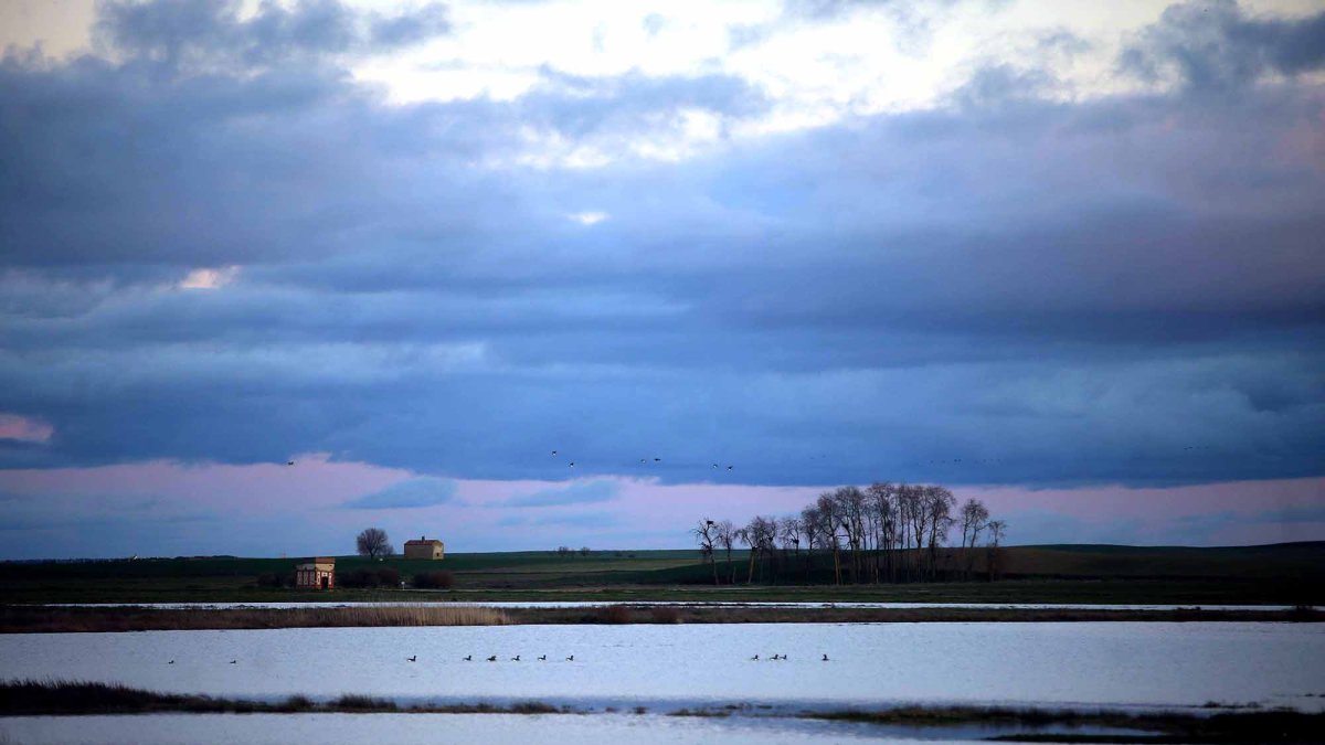 Lagunas de Villafáfila