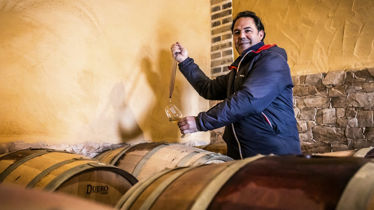 Luis Mariano López extráe una muestra de su Albillo Mayor Barrica para comprobar en qué punto de madurez se encuentra y decidir cuándo está listo.  /