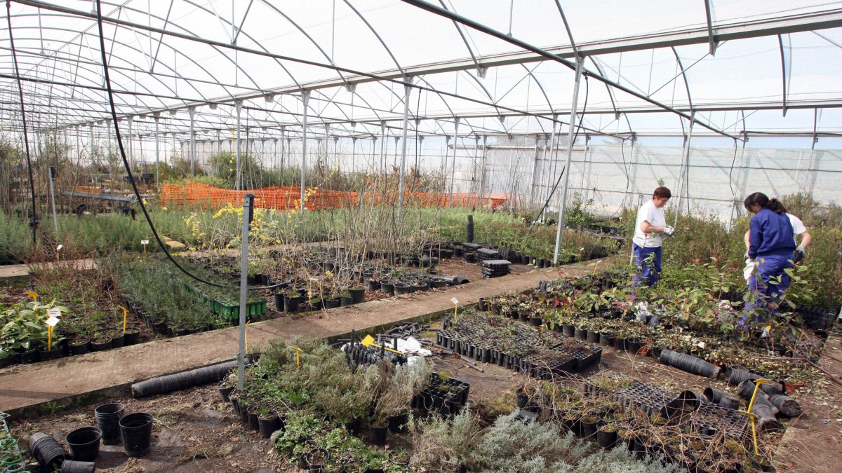 Vivero Forestal Central y Centro de Recursos Ambientales de la Junta en Valladolid