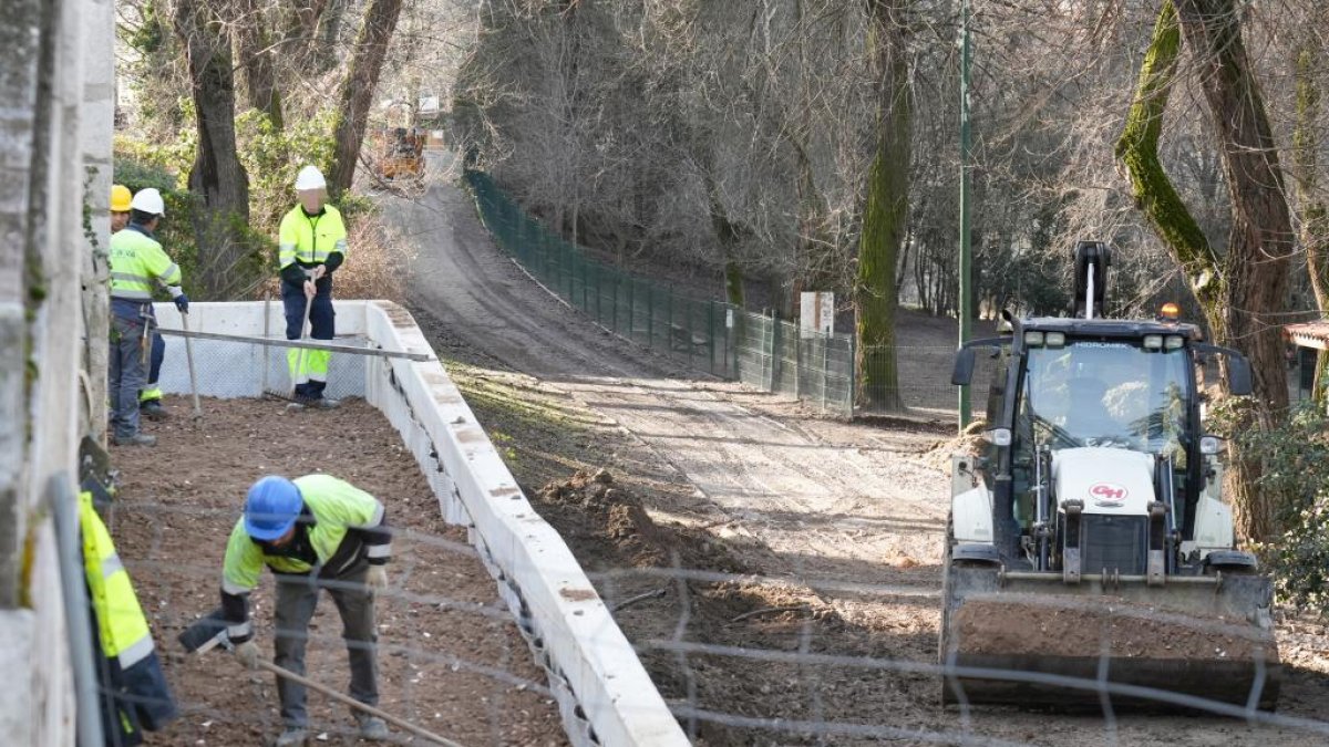 Obras en la Rosaleda del carril bici del Paseo Isabel la Católica