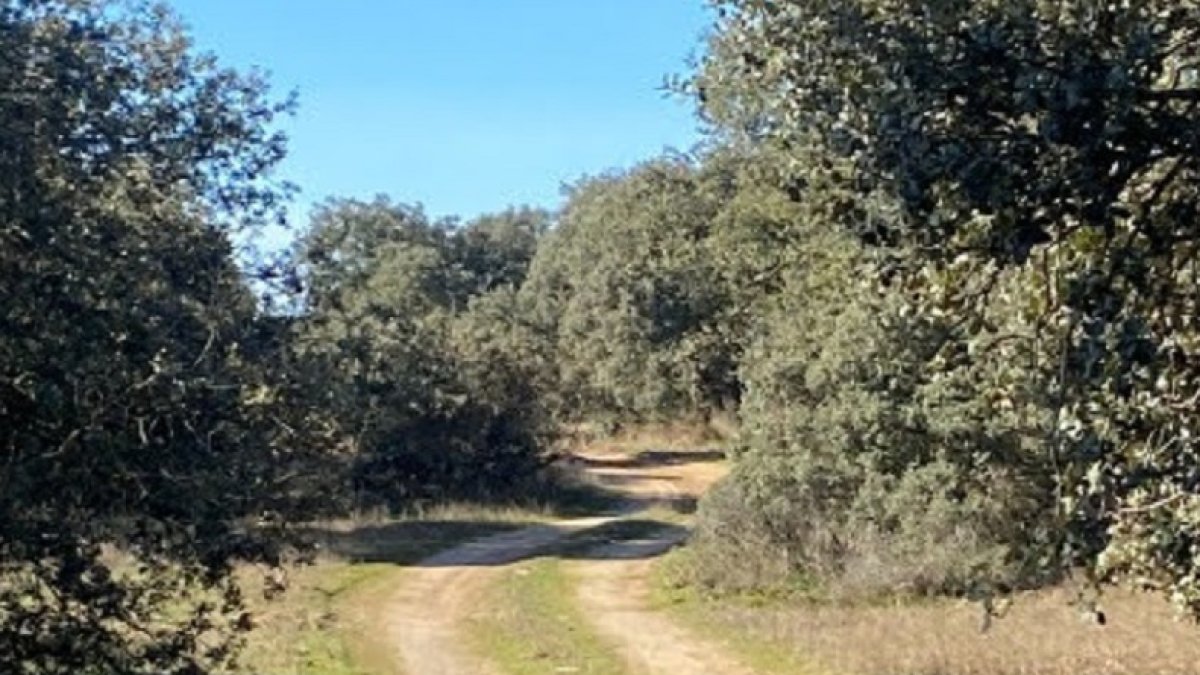 Camino de San Román en Castronuño