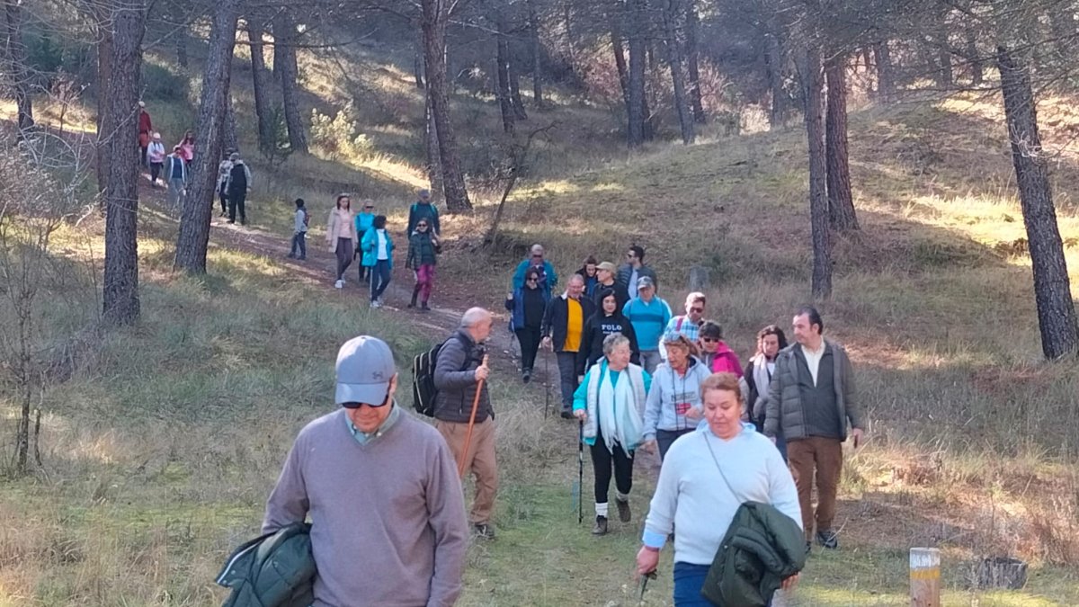 Ruta por la zona de la Atalaya y bodegas tradicionales en Traspinedo