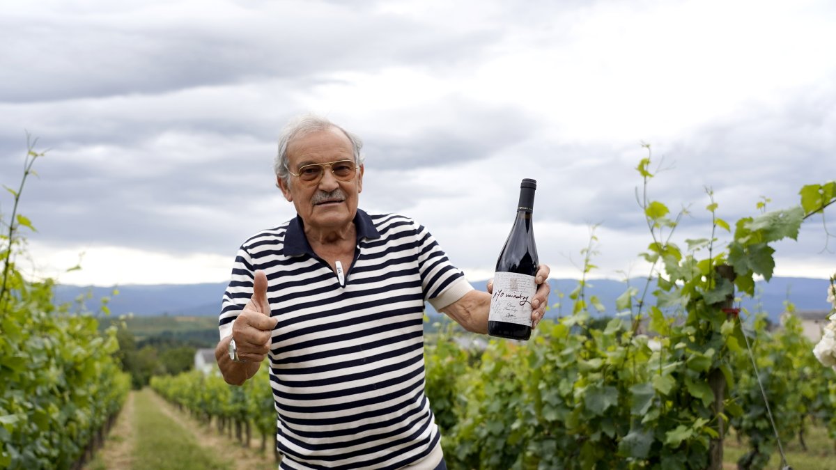 José Luis Prada, entre los líneos de sus viñedos en espaldera en el marco del Palacio de Canedo.