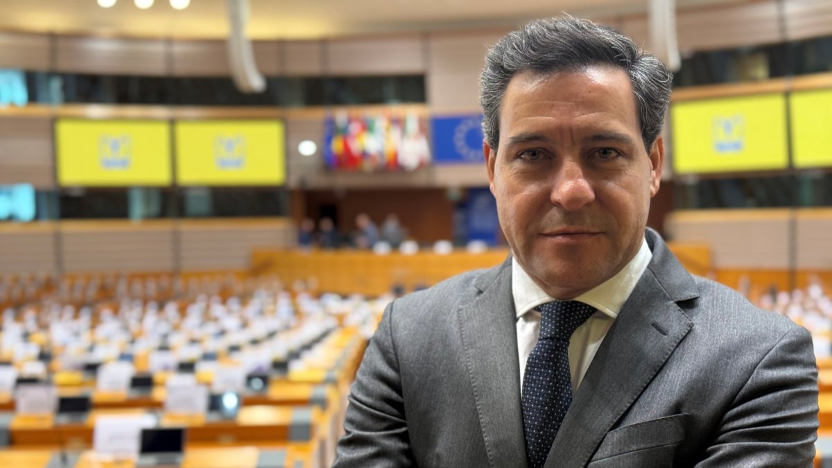 Raúl de la Hoz, eurodiputado del Partido Popular