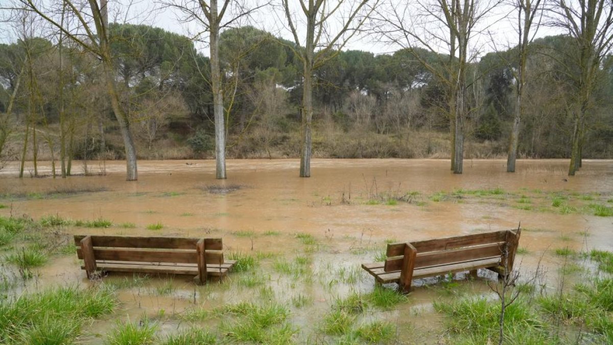 El río Duero desbordado a su paso por Pesquera