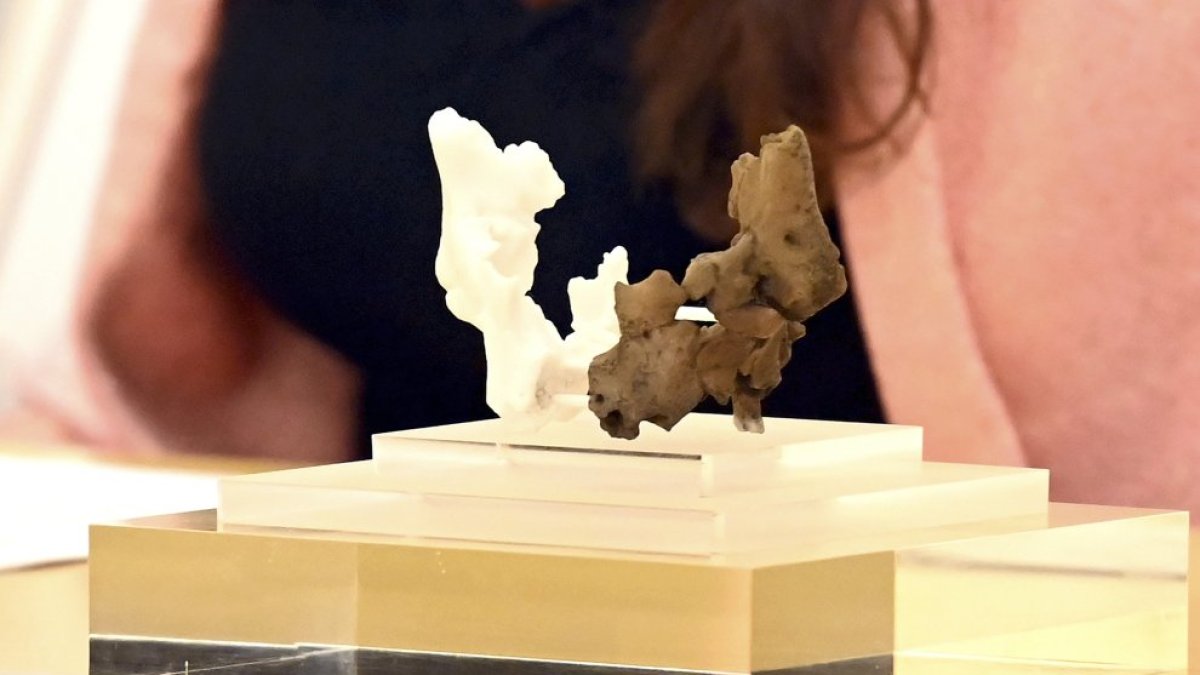 Fósil con la cara humana más antiguo de Europa.