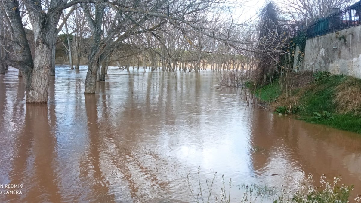 Río Duero a su paso por Puente Duero.