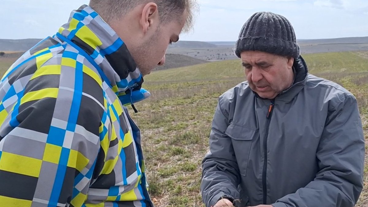 Son ocho los jóvenes que participan en Soria, en tres explotaciones modelo donde realizan la formación práctica, gracias a la última convocatoria del Programa Cultiva.