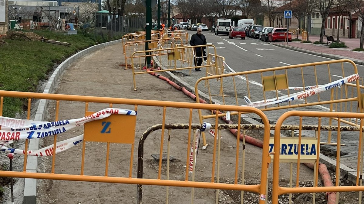 Calle Valle de Arán en Barrio España, lugar donde el PSOE denuncia que se ha producido la tala