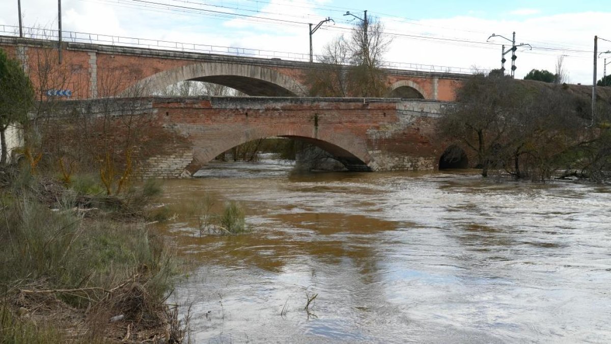 Crecida del río Adaja por Valdestillas