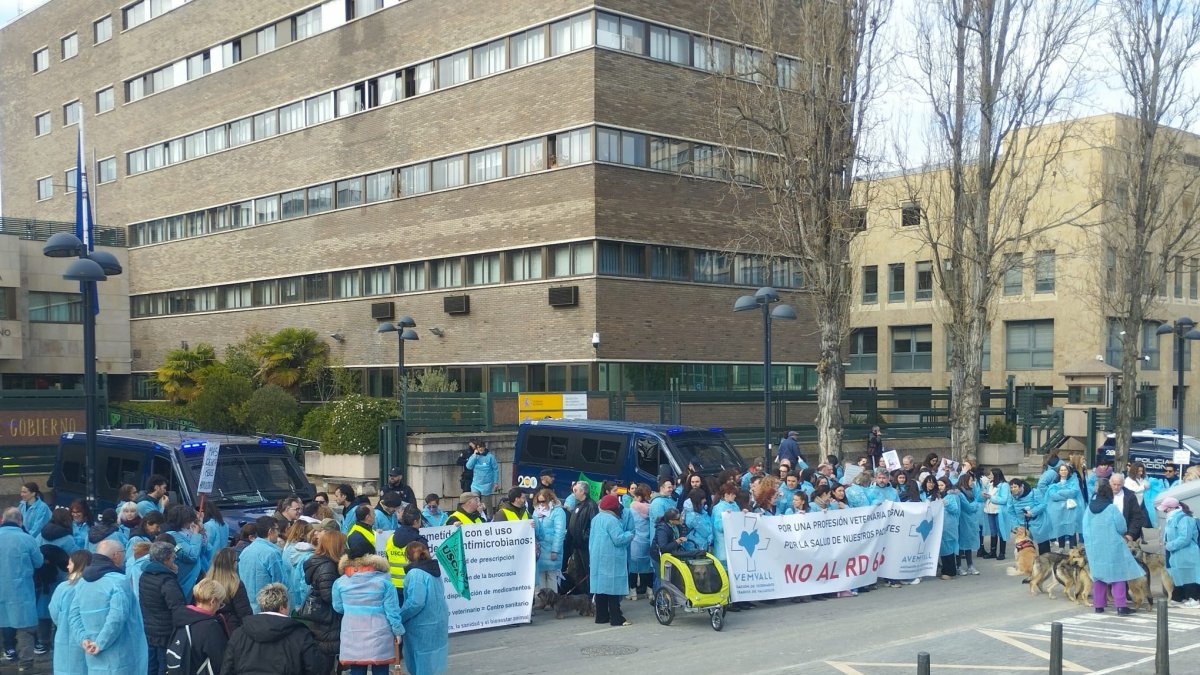 Más de un centenar de veterinarios frente a la Subdelegación del Gobierno.