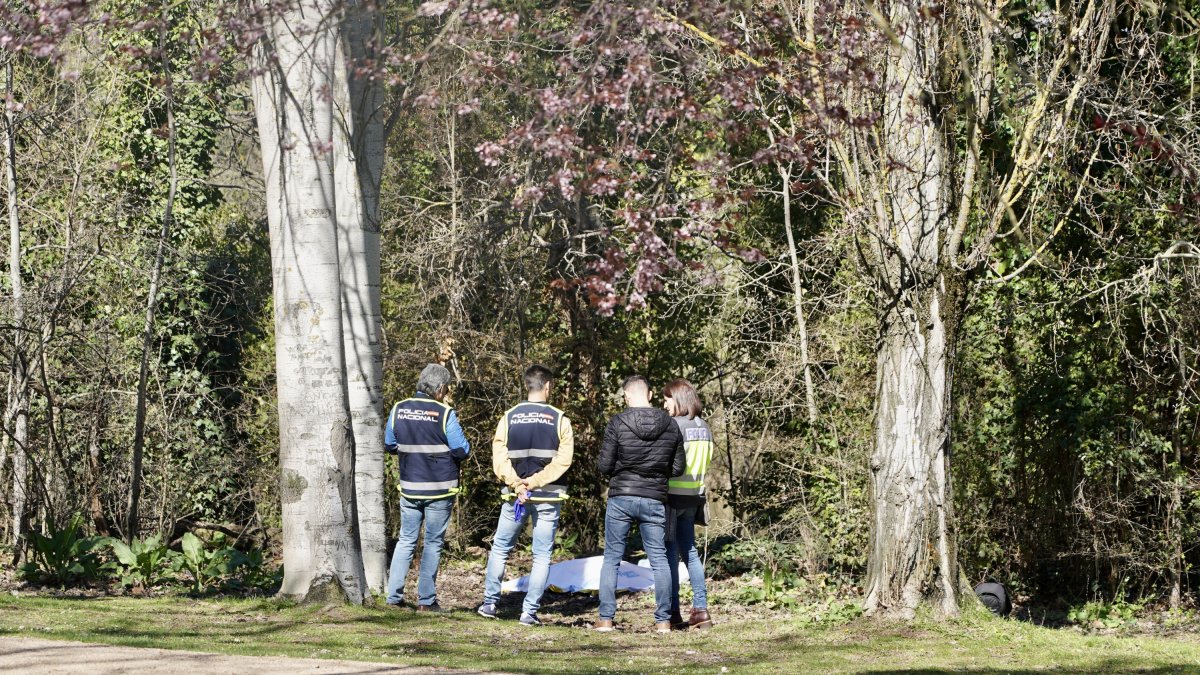 Localizan un cuerpo sin vida en el río Pisuerga, a la altura del Cabildo