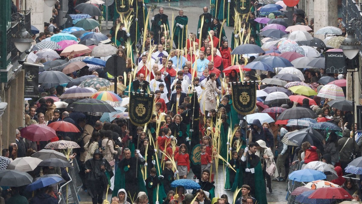 Procesión de La Borriquilla del Domingo de Ramos en Valladolid.