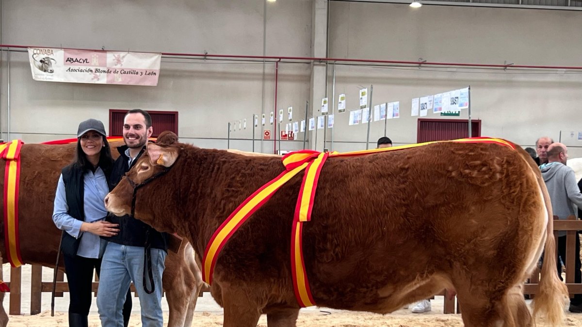 Aitor Sainz Maza, gerente de Granja el Arenón, junto a su mujer, Ana, después de que Úrsula se alzase con el título de Campeona Joven de Castilla y León 2025 en el Salón del Vacuno.