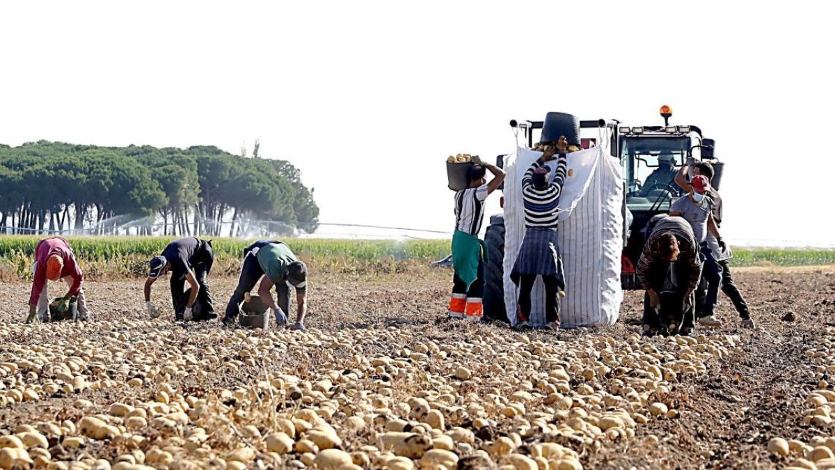 Explotación agraria en Castilla y León.