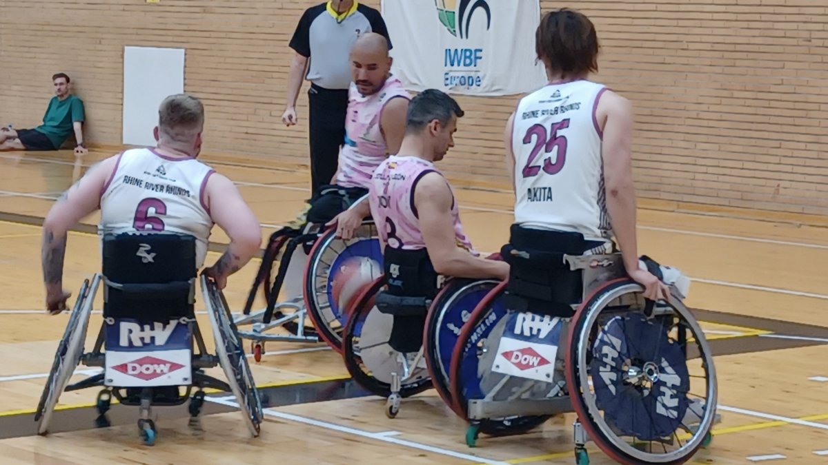 Fundación Aliados-Rhinos.