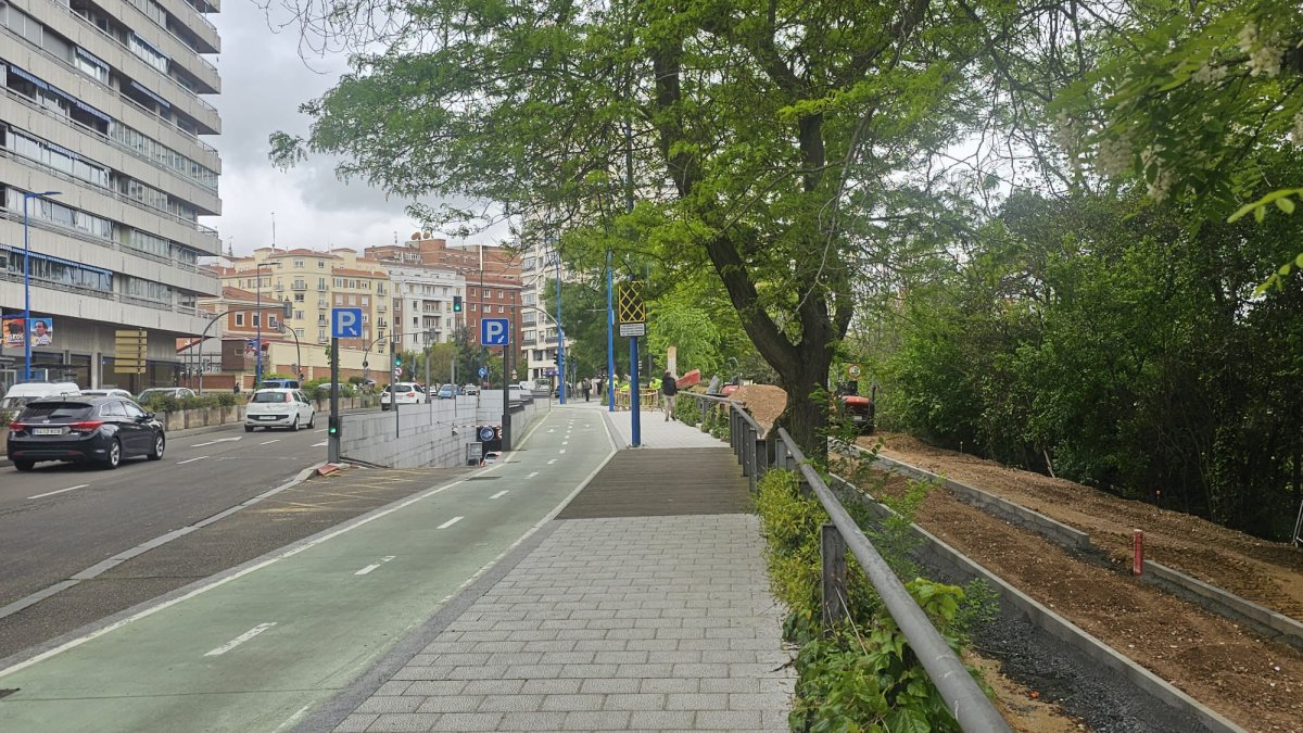 Paseo Isabel la Católica de Valladolid, donde se ve el actual carril bici y el nuevo.