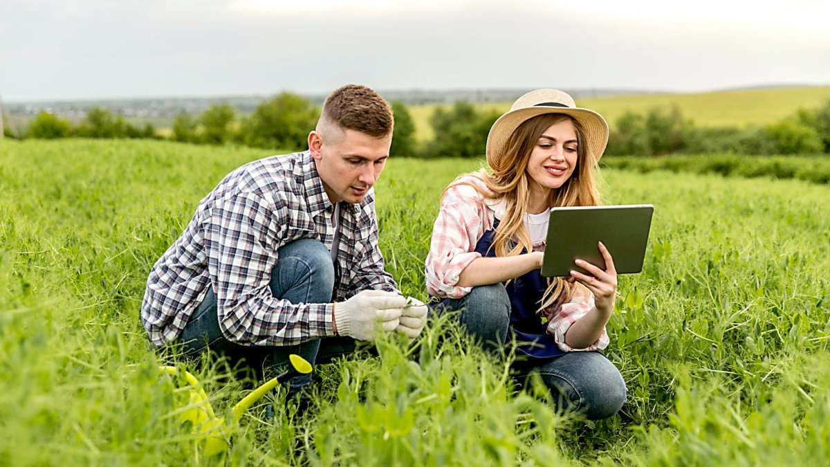 Una pareja de agricultores comprueba el estado fenológico de un cultivo en su explotación.