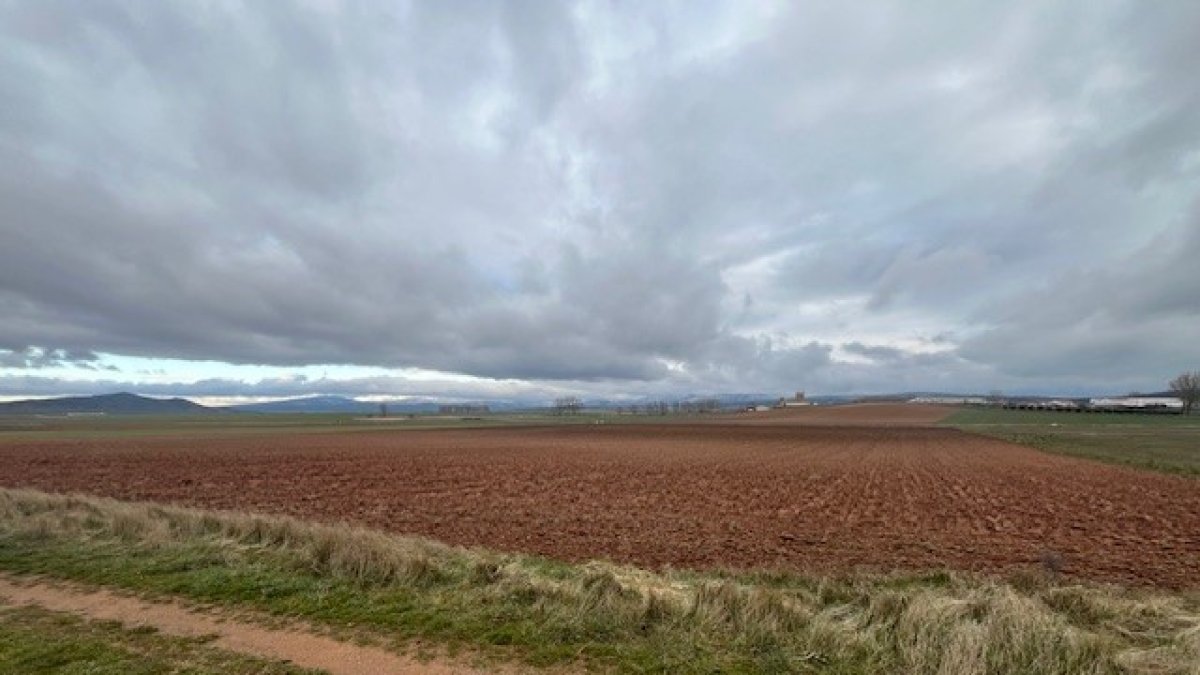 Florette esta campaña cultivará en Soria en Olmillos y también en Hinojosa del Campo, estrenando regadío