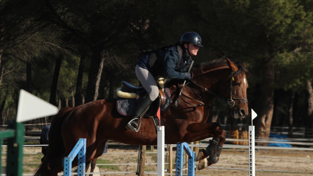 Las instalaciones de PonySchool acogen este sábado la última jornada de la Liga Interclubes de salto de Castilla y León 2025.