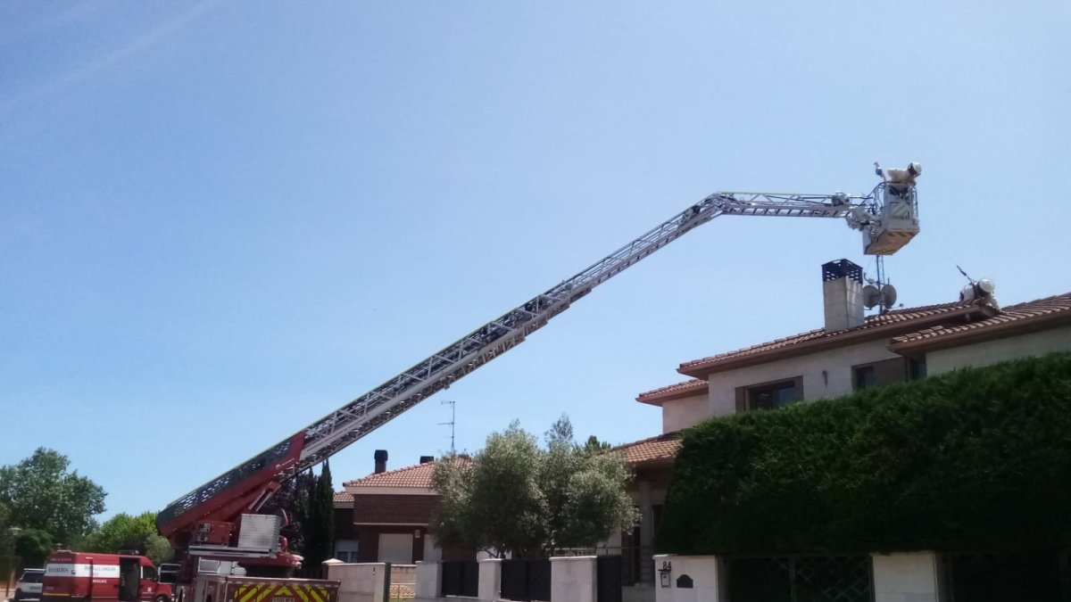 Bomberos eliminan el avispero con el camión escala