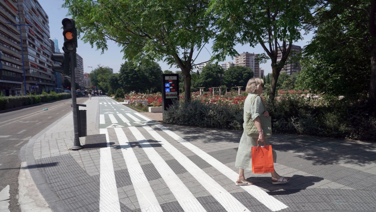 Carril bici del paseo Isabel la Católica
