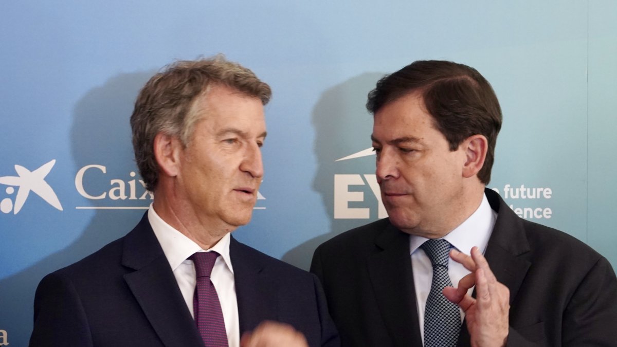 Alberto Núñez Feijóo y Alfonso Fernández Mañueco, en una imagen de archivo.